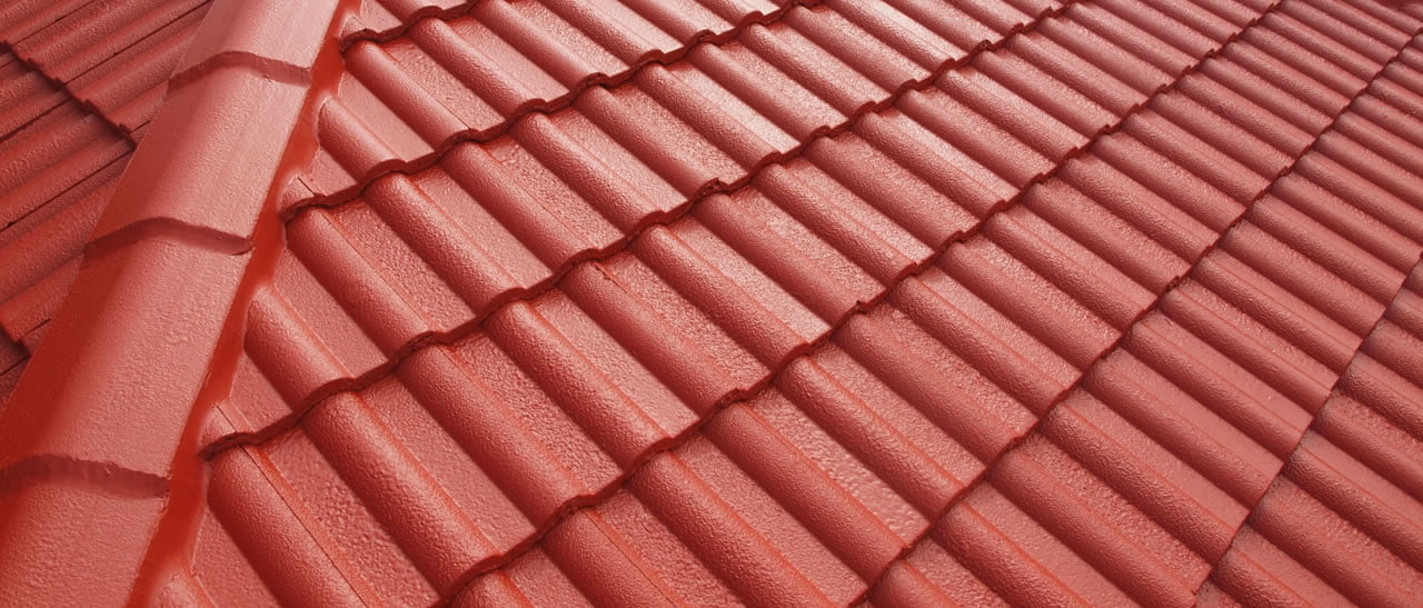 Featured image for “Terracotta Roof Repair North Shore”